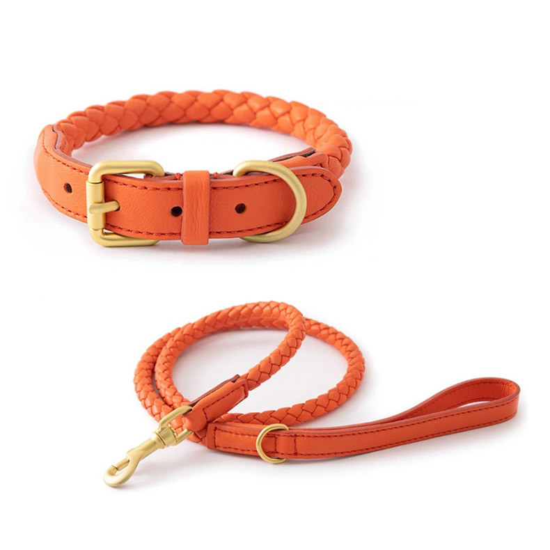 Headcollar Rope Set - Ayarlanabilir Örgülü Deri Evcil Hayvan Tasması