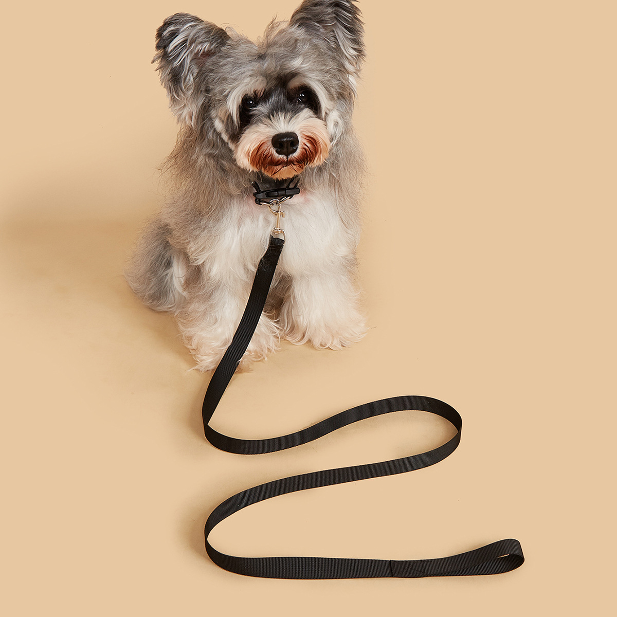 Evcil Hayvan Tasması ve Kayış  - Headcollar Rope Set incelemesi ve fiyatı