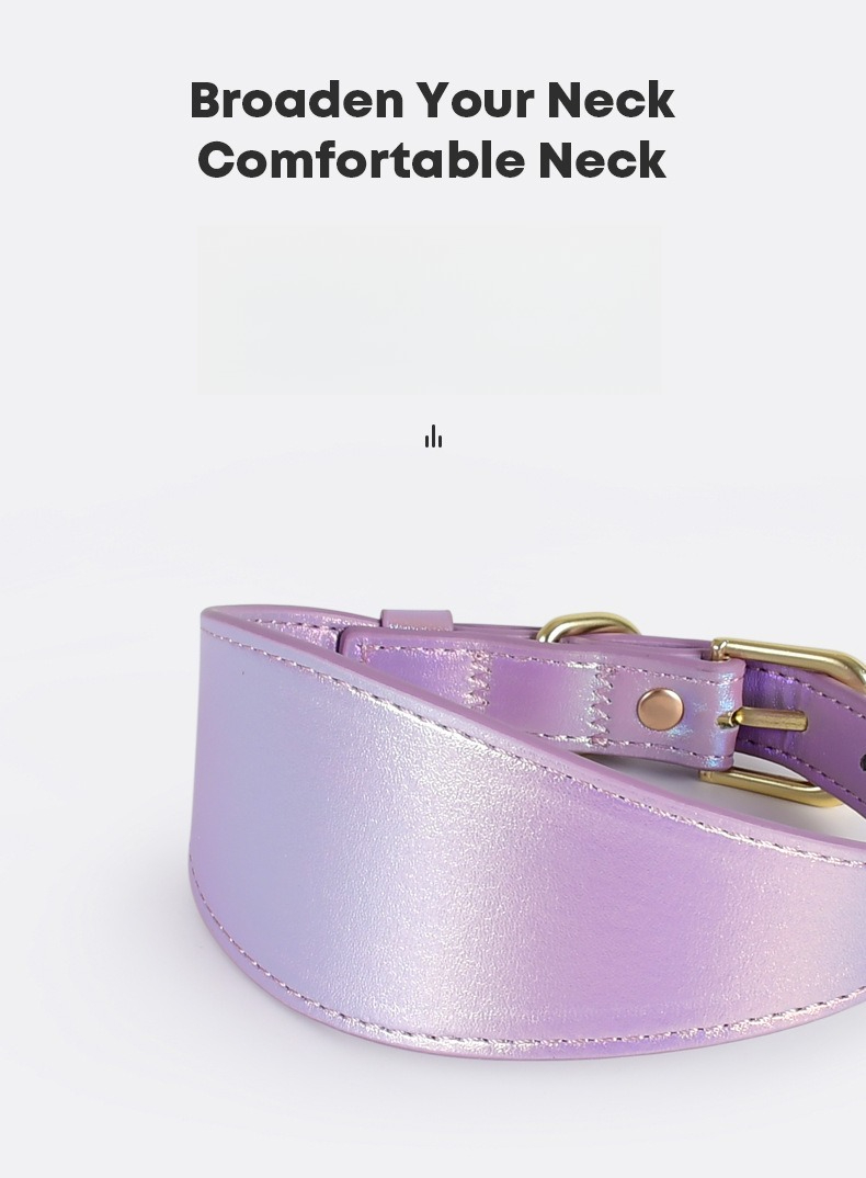 YANSITICI DERİ KÖPEK TASMASI V - Headcollar Rope Set incelemesi ve fiyatı