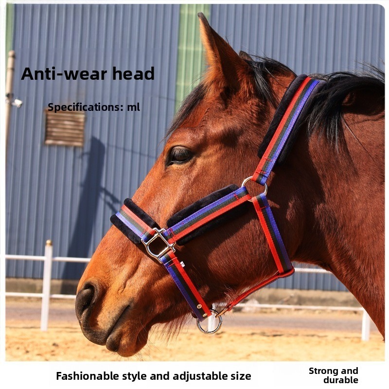Aşınmaya Dayanıklı Tekstil At  - Headcollar Rope Set incelemesi ve fiyatı