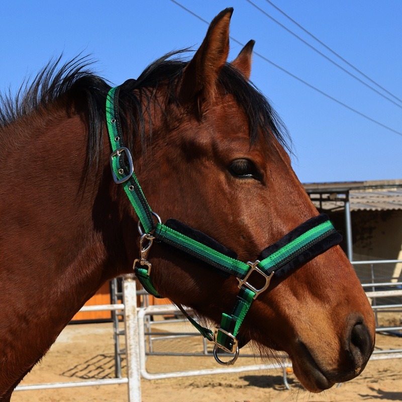 Aşınmaya Dayanıklı Tekstil At  - Headcollar Rope Set incelemesi ve fiyatı