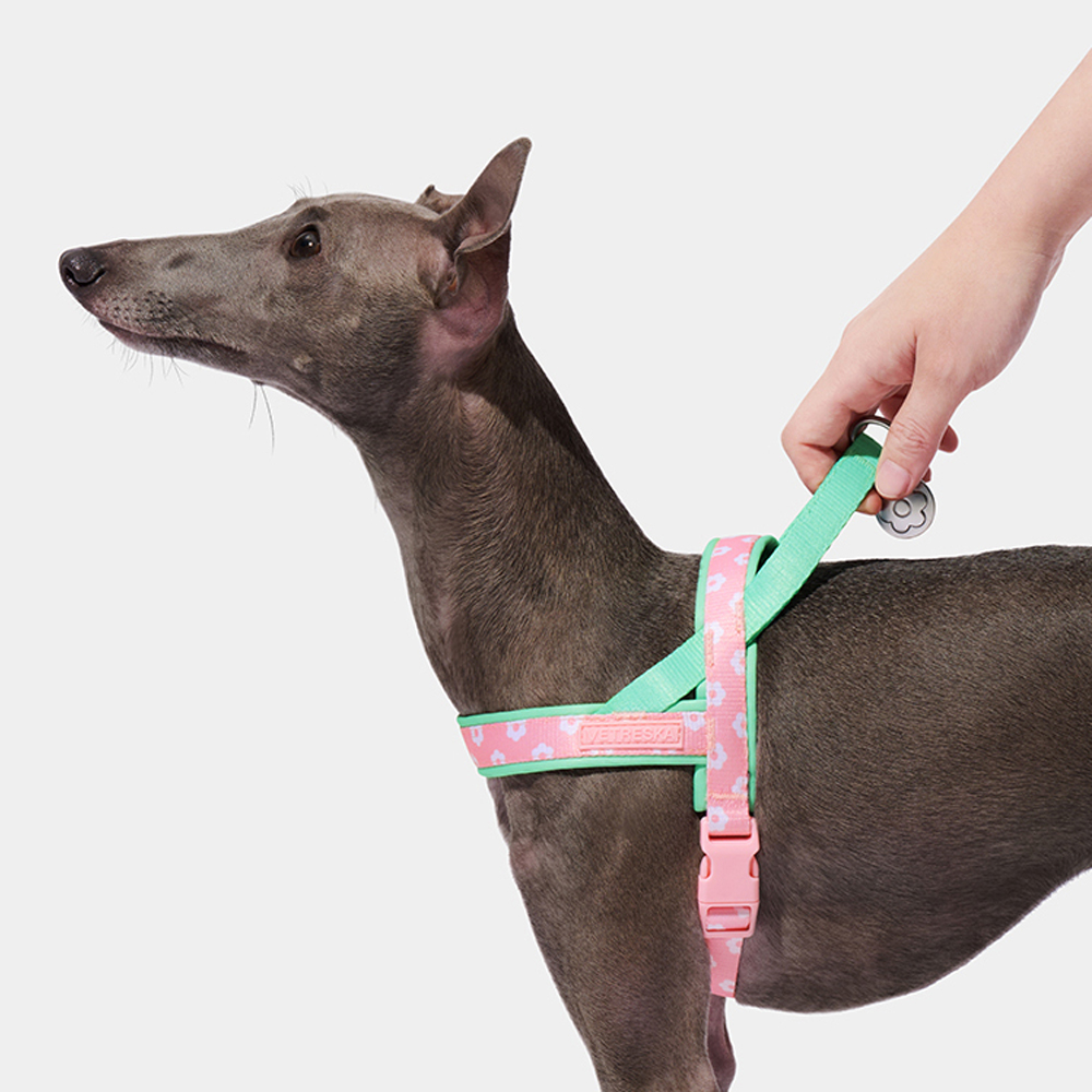 Lüks evcil hayvan göğüs kayışı - Headcollar Rope Set incelemesi ve fiyatı