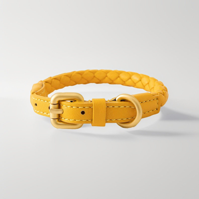 Ayarlanabilir Örgülü Deri Evci - Headcollar Rope Set incelemesi ve fiyatı